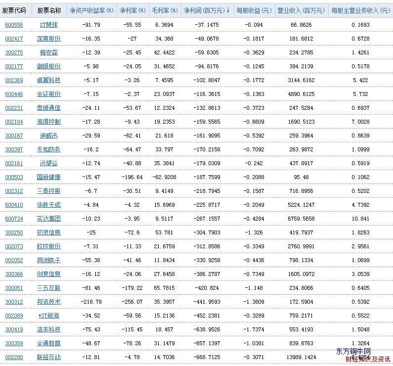 电子信息行业净利润表