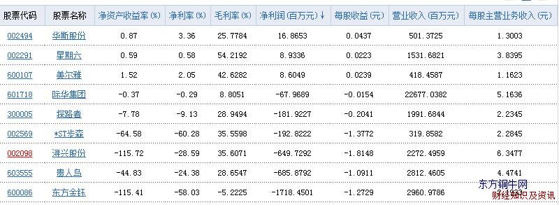 服装鞋类行业净利润表