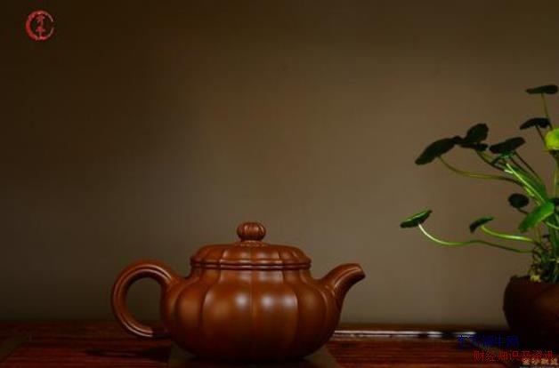短线选股高手