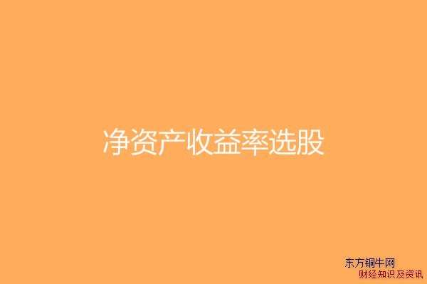 净资产收益率选股