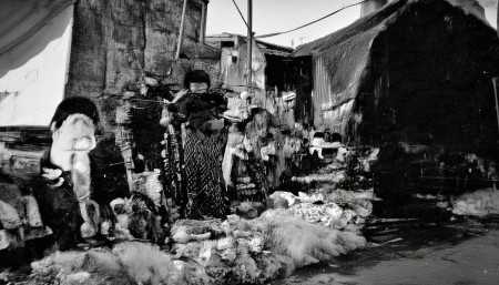 2025年9月21日主流证券网站头版内容精华摘要 这消息一出,今天中字头股票又涨了一波,像