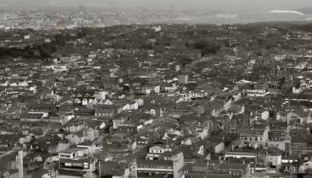 601088中国神华股票,概念,前景,怎么样,个股分析,技术分析,基本面分析 总的来说,中国神华是一家非常典型的“大象