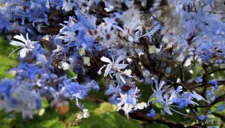 603232格尔软件股票,概念,前景,怎么样,个股分析,技术分析,基本面分析 总之,这只股就像一个老实上班的技术员,勤