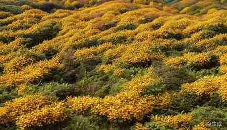 301026浩通科技股票,概念,前景,怎么样,个股分析,技术分析,基本面分析 最后,因为它是在创业板上市的,所以也算“